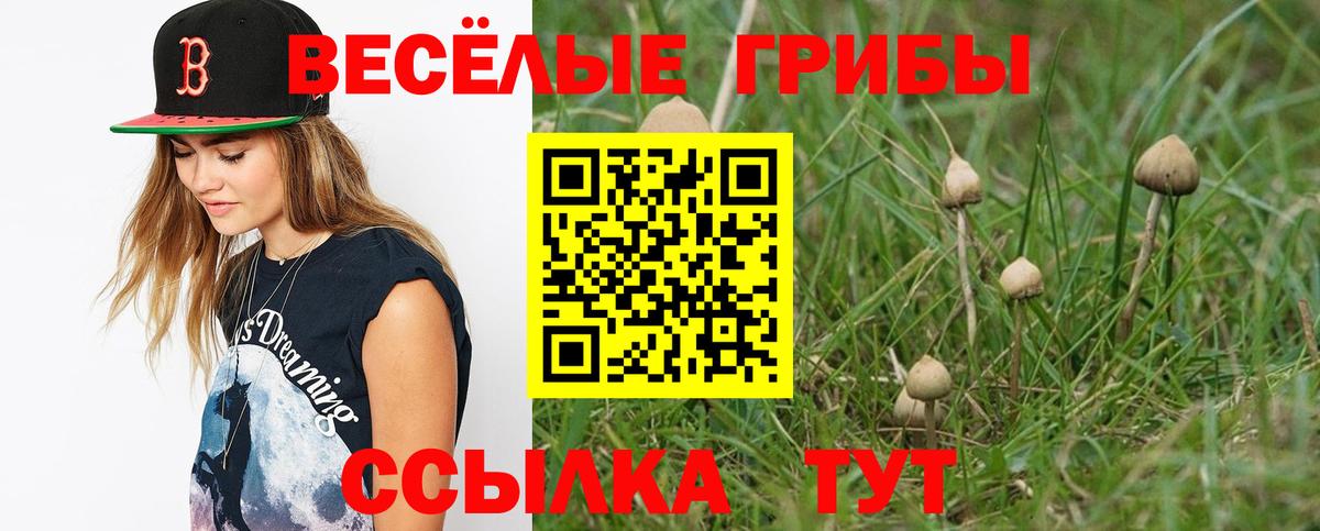 Галлюциногенные грибы ЛСД  Псилоцибиновые грибы Psilocybine cubensis  Вход с VPN  Урай 